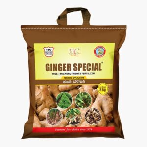 ginger special fertilizer