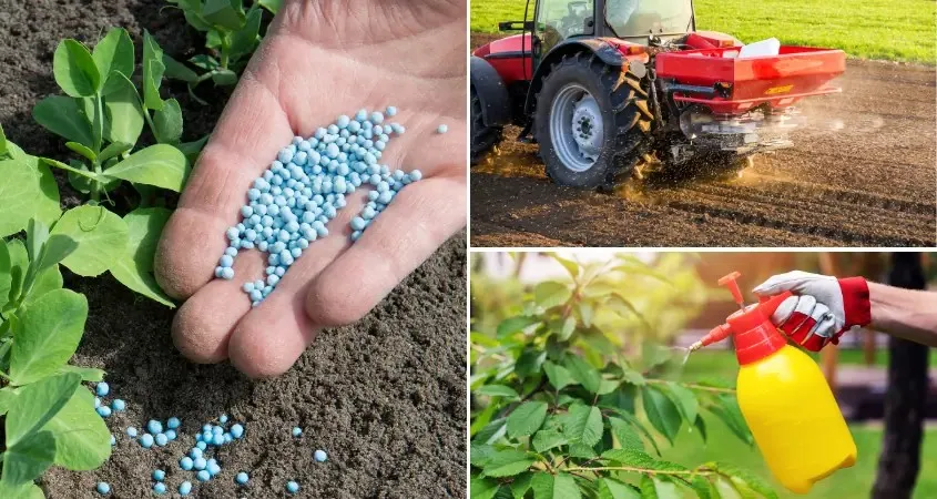 Welcome to jadhav agro traders from seeds to harvest