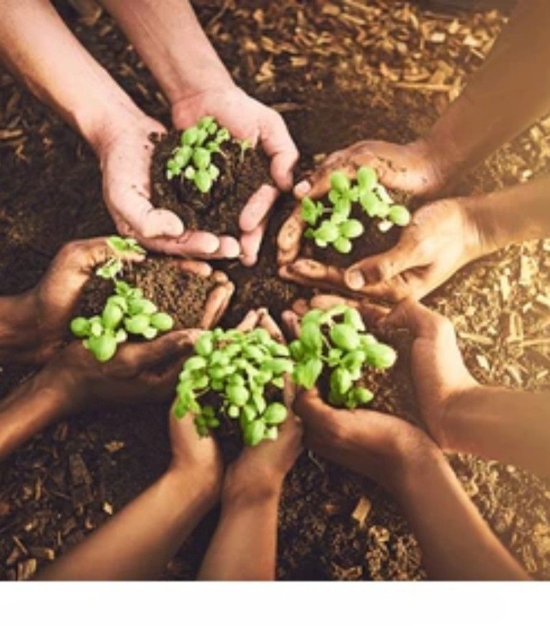 Jadhav Agro Traders