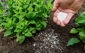 Jadhav Agro Traders