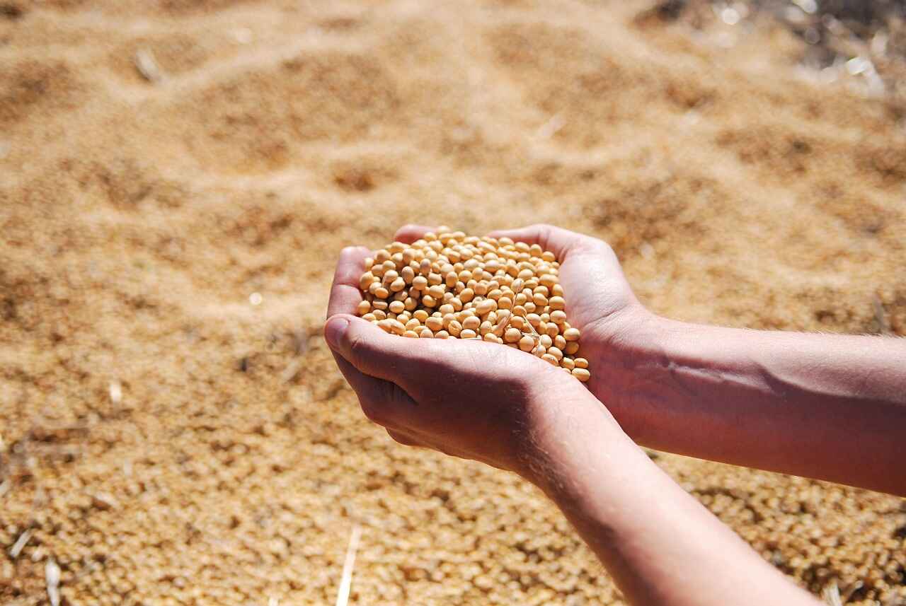 Jadhav Agro Traders
